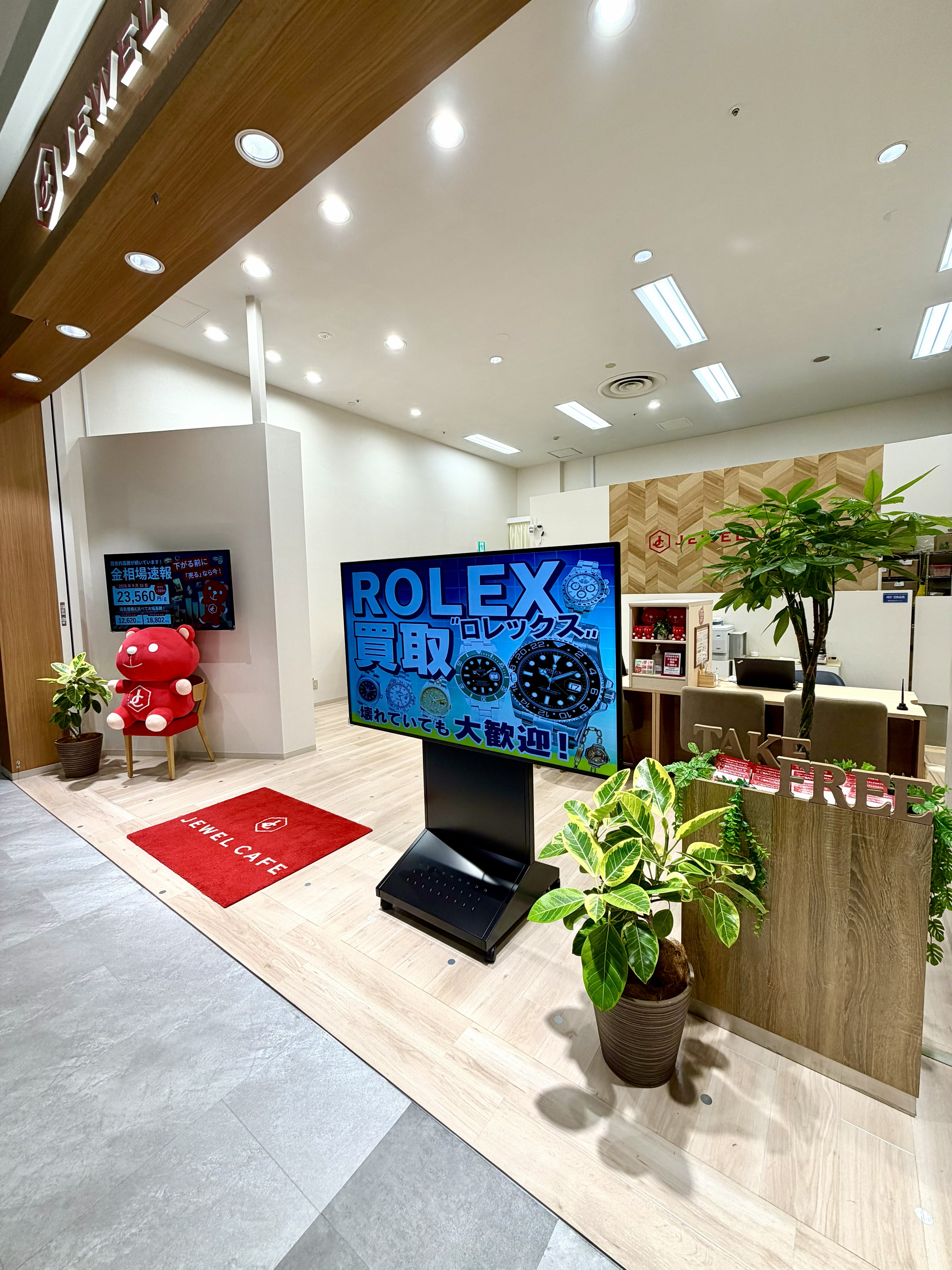 金運アップの観葉植物を観葉植物レンタルで設置させていただきました