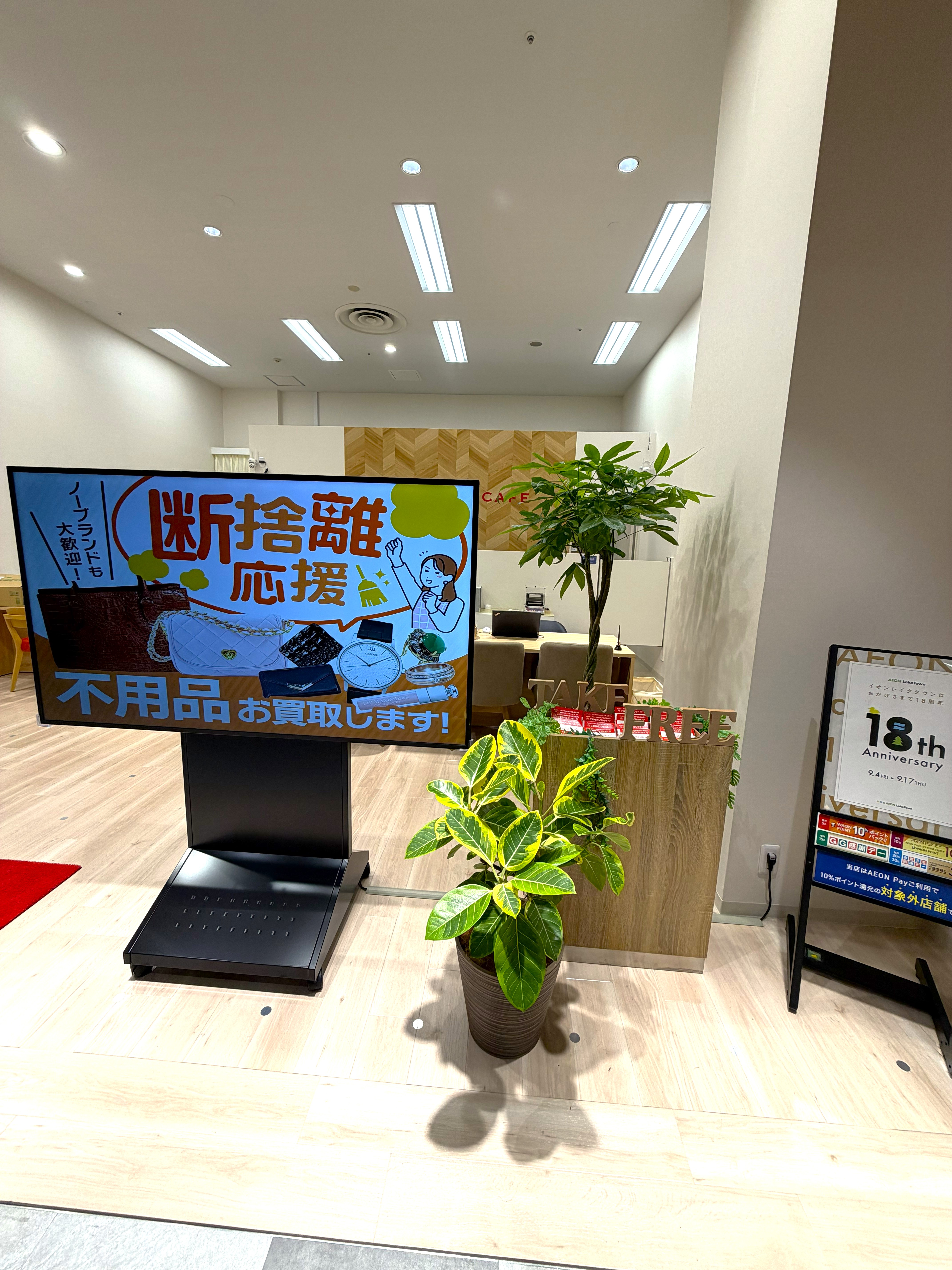 金運アップのパキラとアルテシマ