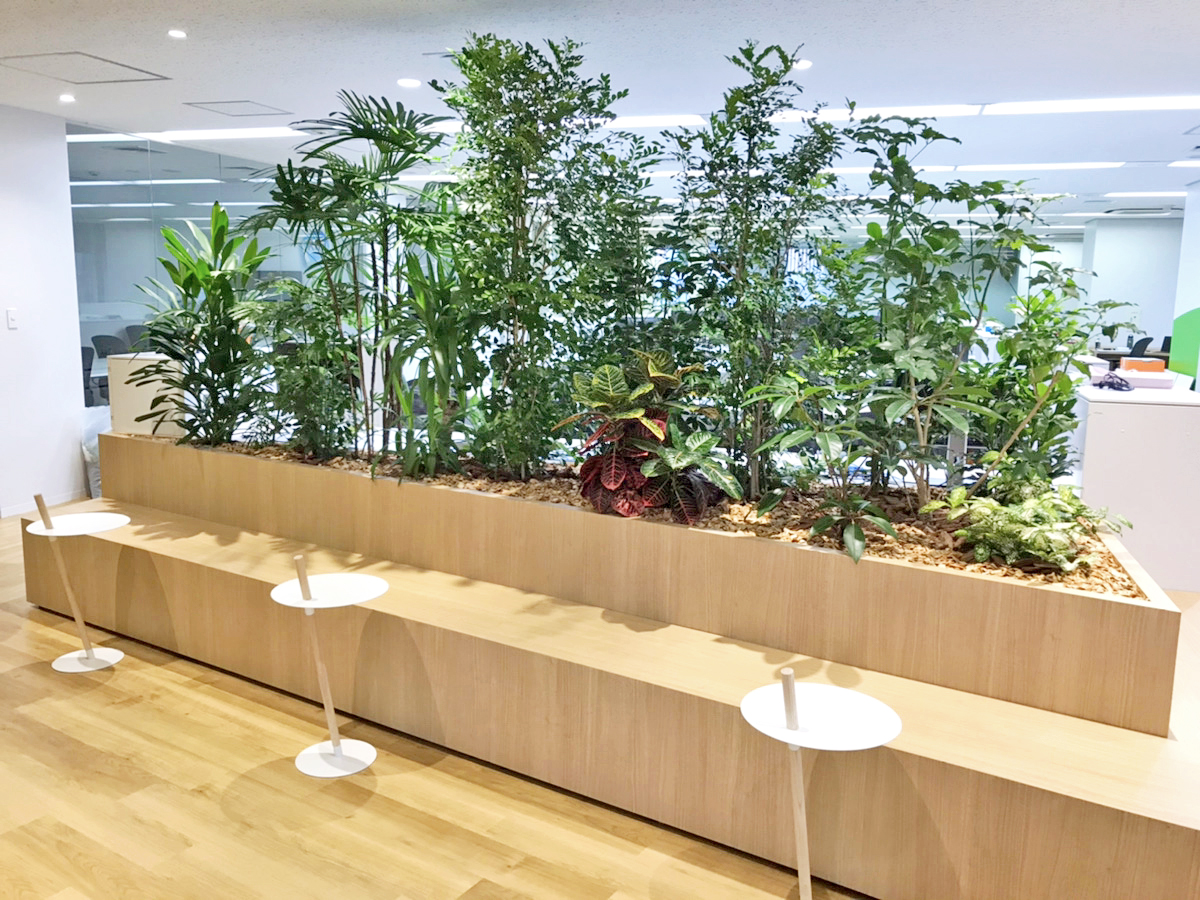パーテーションとしての観葉植物