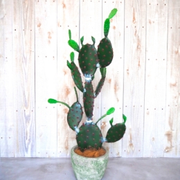 fakegreen-img06.jpg