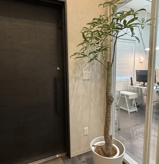 エントランス ドア横After