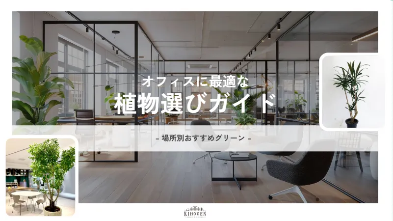 オフィスに最適な植物選びガイド1