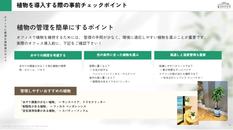 オフィスに最適な植物選びガイド3